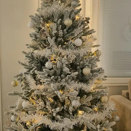 Apartment Cozy Winterdream