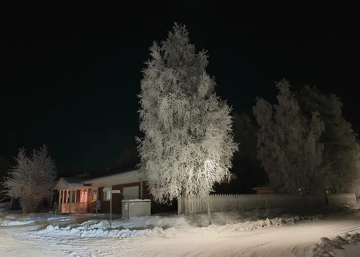 Cozy Winterdream * Rovaniemi