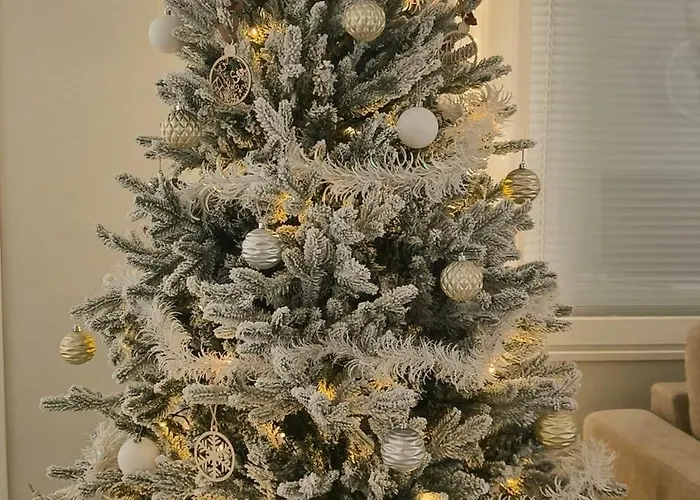 Appartement Cozy Winterdream